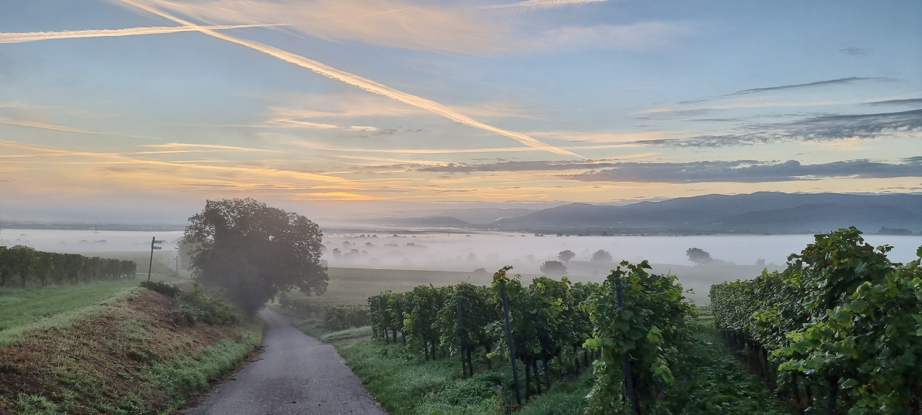 Herbststimmung auf dem Tuniberg