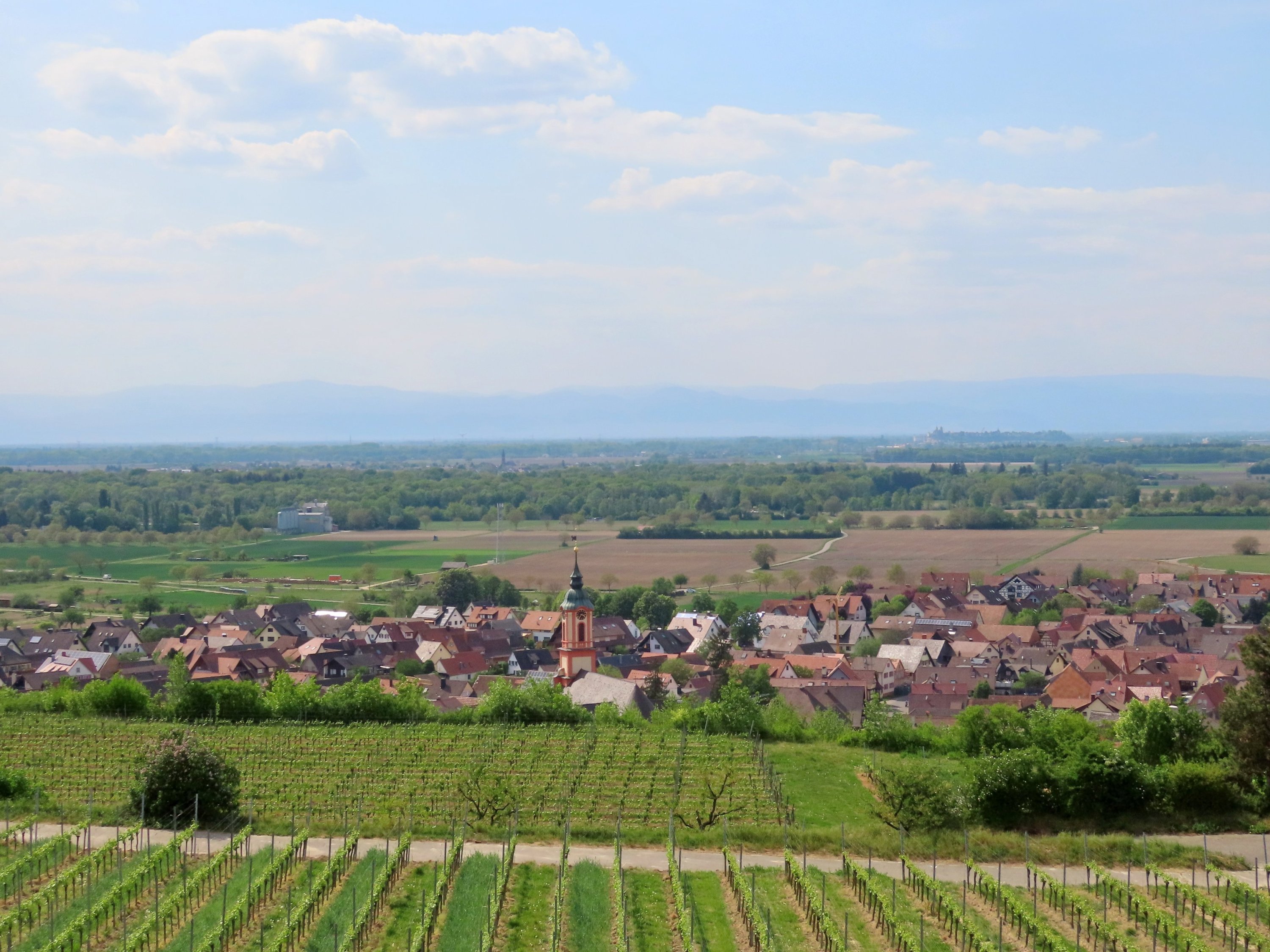 Ansicht von Merdingen Ansicht Merdingen